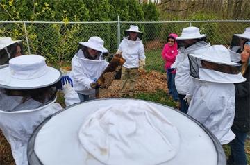 RICFest guests taking a beehive tour